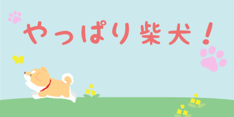 やっぱり柴犬！